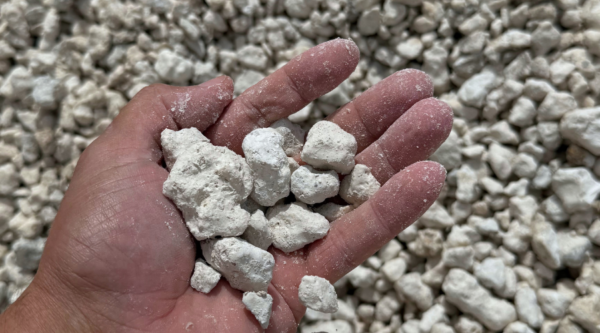 White Limestone Florida: 5 Ways to Elevate Your Lakewood Ranch or Sarasota Home Landscape
